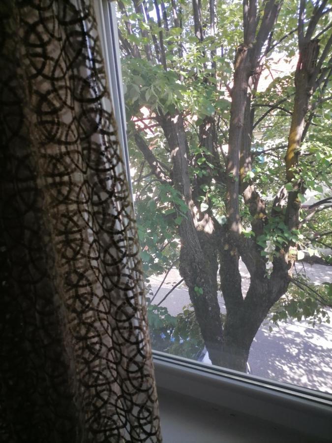Apartmani 15 Cetinje Exteriér fotografie