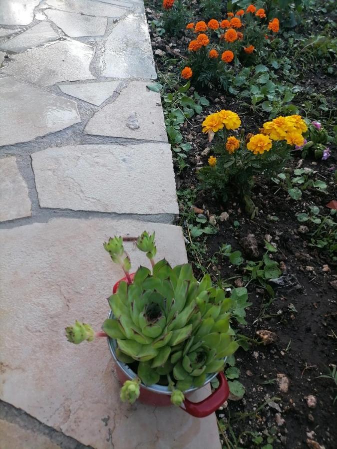 Apartmani 15 Cetinje Exteriér fotografie